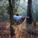 Eva London & Goldsmiths Fashion Photography Competition winners announced