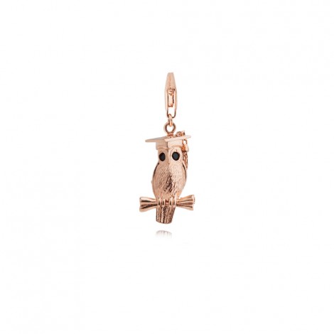 Wise Owl Graduation Charm in Sterling Silver with a Rose Gold Plate