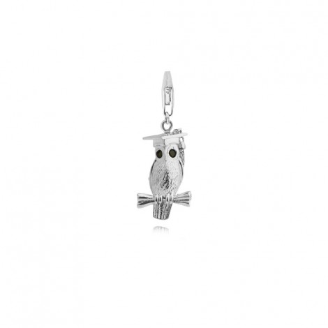 Wise Owl Charm in Sterling Silver