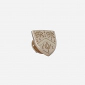 Lapel badge in 9ct yellow gold
